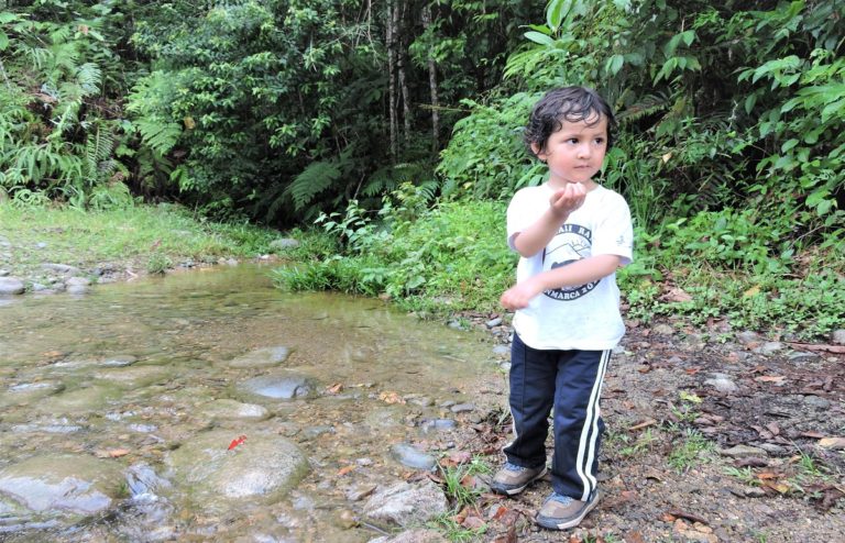 manu_rainforest_guadalupe_lodges_11