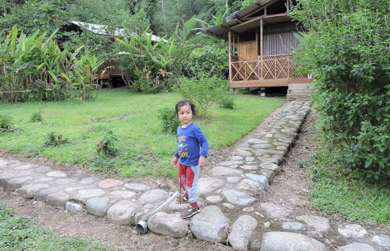manu_rainforest_guadalupe_lodges_4