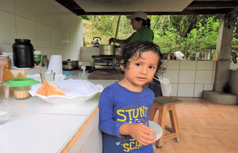 manu_rainforest_guadalupe_lodges_6 (2)