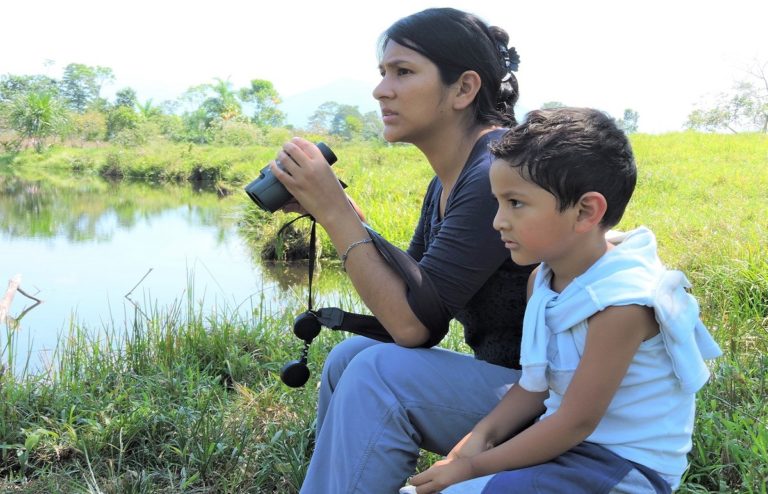 manu_rainforest_guadalupe_lodges_6