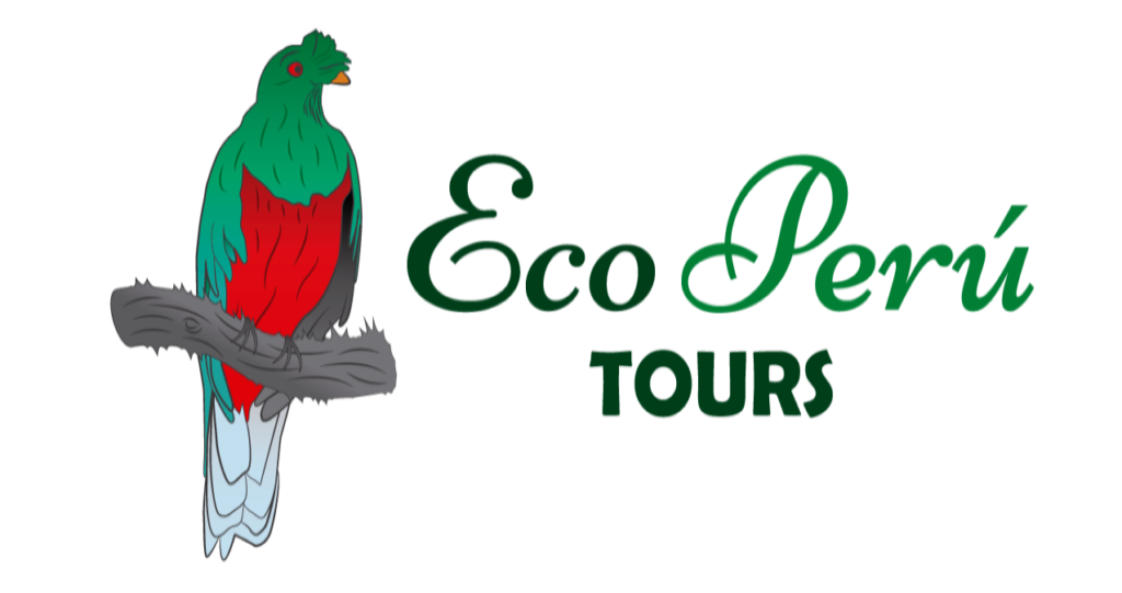JC Tours