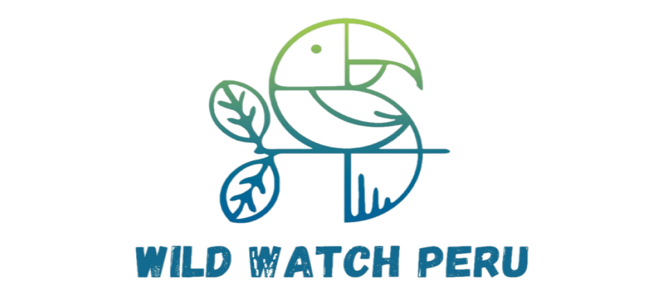 WWP