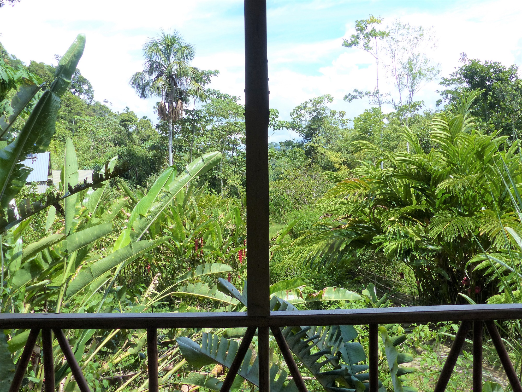 room garden